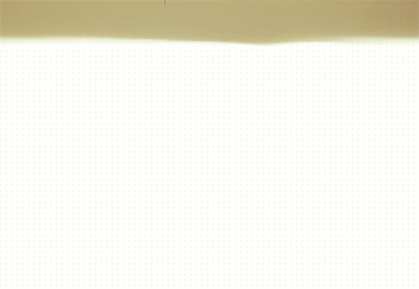 2026年8月伯爵官方沧州客户服务网点地址及售后电话热线公告